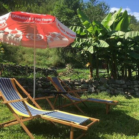 La Auarje: Appartement Avec Jardin & Terrasse Cierp エクステリア 写真